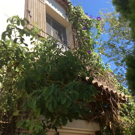 La Roseraie Camarguaise Arles